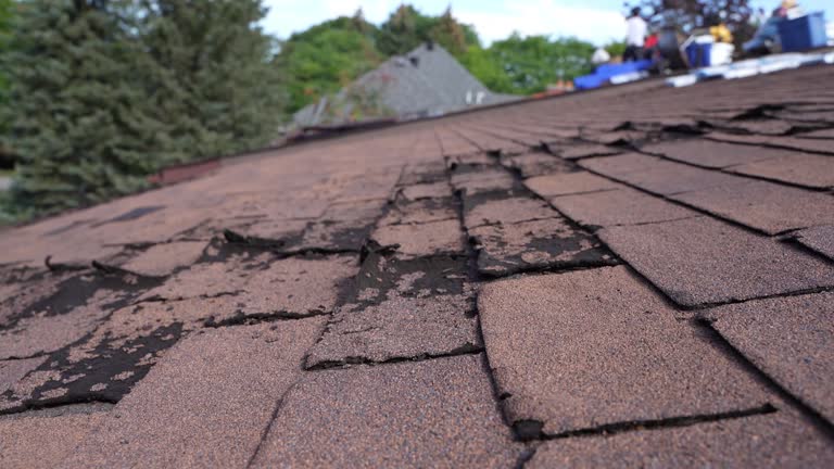 Best Gutter Installation and Repair  in North Randall, OH